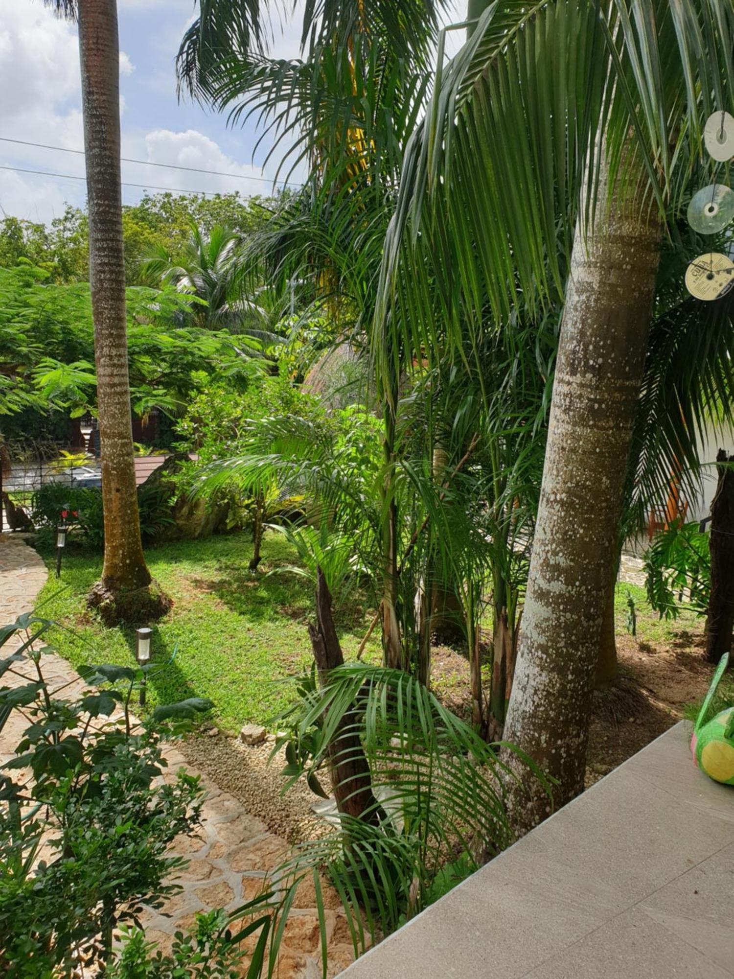 Camino Del Alma Apartments Bacalar Rum bild