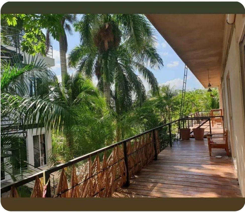 Camino Del Alma Apartments Bacalar Exteriör bild